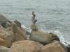 Balancing rocks